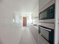 The Riverine By The Park (D12), Apartment #579728531